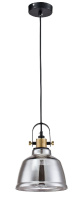 Подвесной светильник Maytoni Irving T163-11-C