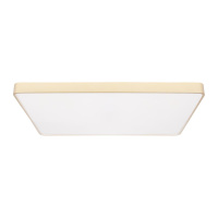 Потолочный светодиодный светильник Loft IT Flims 10228/E