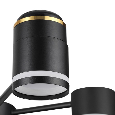 Люстра на штанге Lumion Virsava 8234/6C