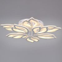 Потолочная люстра Reluce 00150-0.3-5+5 WH