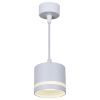 Подвесной светильник Reluce 53001-0.9-001LD GX53 WT