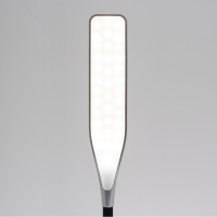 Настольная лампа Eurosvet 80422/1 серебристый