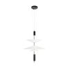 Подвесной светильник Loft IT Skylar 10244/B Black