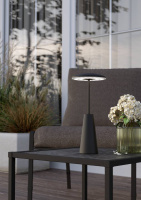 Уличная настольная лампа Eglo Piccola 900925