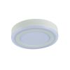 Потолочный светодиодный светильник Arte Lamp Antares A7806PL-2WH