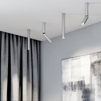 Потолочный светодиодный светильник Elektrostandard Pika 25030/Led серебро a061121