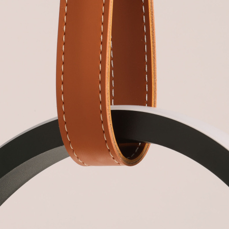 Подвесной светильник De Markt Ральф 675015901