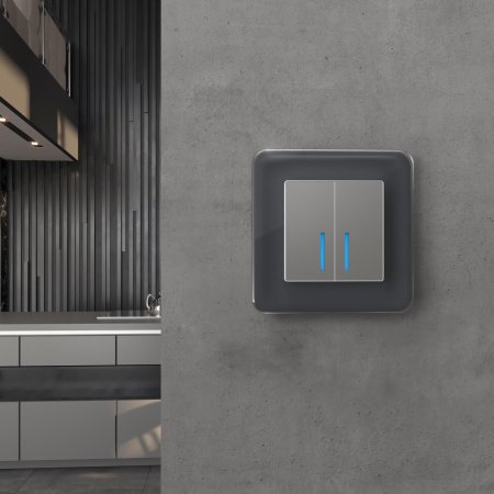 Рамка Werkel Elite на 1 пост графит W0012440