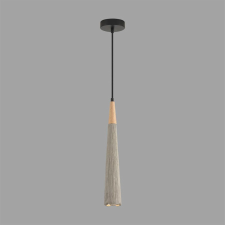 Подвесной светильник Lumion Suspentioni Eoliana 8351/1C