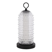 Настольная лампа ST Luce Saguaro SL6144.404.01