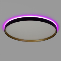 Потолочный светильник Citilux Etalon CL750501R