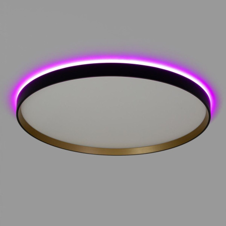 Потолочный светильник Citilux Etalon CL750501R