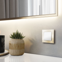 Рамка Werkel Aluminium на 1 пост шампань алюминий W0011711